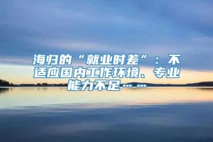 海归的“就业时差”：不适应国内工作环境、专业能力不足……