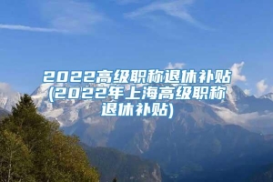 2022高级职称退休补贴(2022年上海高级职称退休补贴)