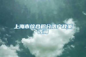 上海市综合积分落户政策咨询