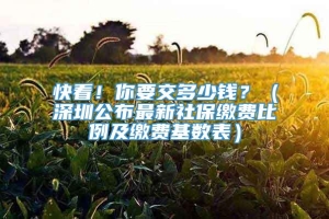 快看！你要交多少钱？（深圳公布最新社保缴费比例及缴费基数表）