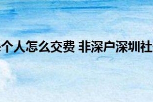 非深户深圳社保个人怎么交费 非深户深圳社保个人缴费基数是多少（社保攻略宝）