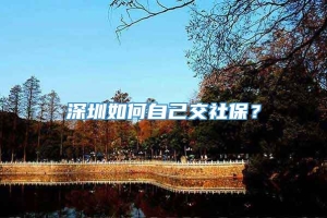 深圳如何自己交社保？