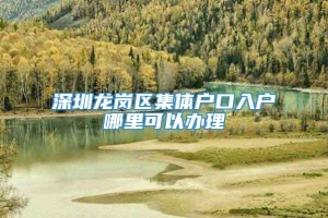 深圳龙岗区集体户口入户哪里可以办理