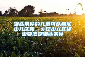 哪些条件的儿童可以参加少儿医保，办理少儿医保需要满足哪些条件