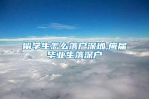 留学生怎么落户深圳,应届毕业生落深户