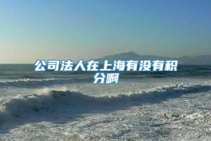 公司法人在上海有没有积分啊