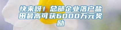 快来呀！总部企业落户盐田最高可获6000万元奖励