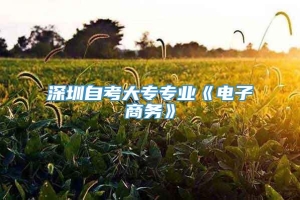 深圳自考大专专业《电子商务》