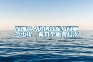 深圳个人缴纳社保每月要多少钱，有几个缴费档次