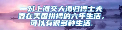 一对上海交大海归博士夫妻在美国拼搏的六年生活，可以有很多种生活.