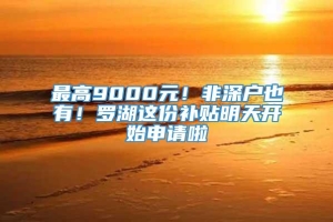 最高9000元！非深户也有！罗湖这份补贴明天开始申请啦