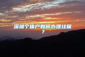 深圳个体户如何办理社保？