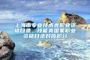 上海市专业技术类职业资格目录、技能类国家职业资格目录对应积分