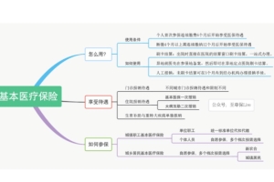 高校应届毕业生，半年以后出国留学。从毕业起，社保应该如何选择，怎么交？