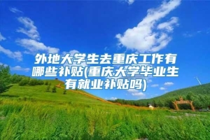 外地大学生去重庆工作有哪些补贴(重庆大学毕业生有就业补贴吗)