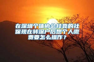 在深圳个体协会挂靠的社保现在转深户后想个人缴费要怎么操作？