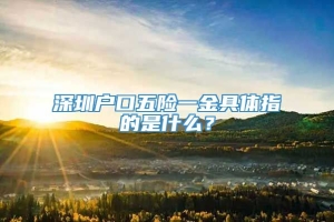 深圳户口五险一金具体指的是什么？