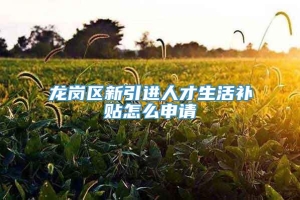 龙岗区新引进人才生活补贴怎么申请