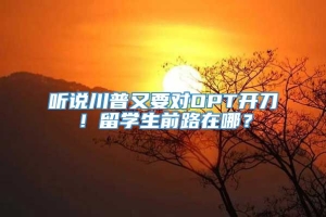 听说川普又要对OPT开刀！留学生前路在哪？