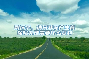 刚怀孕，请问非深户生育保险办理需要什么资料