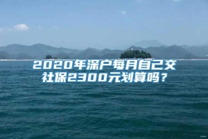 2020年深户每月自己交社保2300元划算吗？