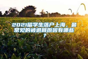 2021留学生落户上海，最常见的被退回原因有哪些？