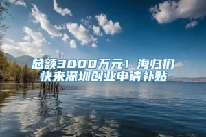 总额3000万元！海归们快来深圳创业申请补贴