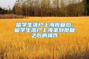 留学生落户上海批复后，留学生落户上海拿到批复之后的操作