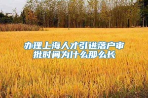 办理上海人才引进落户审批时间为什么那么长