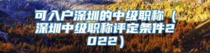 可入户深圳的中级职称（深圳中级职称评定条件2022）