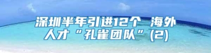 深圳半年引进12个 海外人才“孔雀团队”(2)