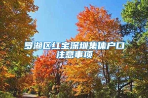 罗湖区红宝深圳集体户口注意事项