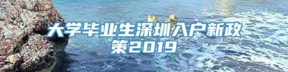 大学毕业生深圳入户新政策2019