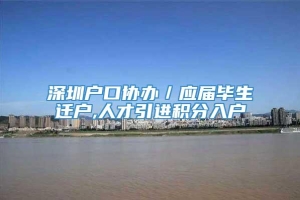 深圳户口协办／应届毕生迁户,人才引进积分入户