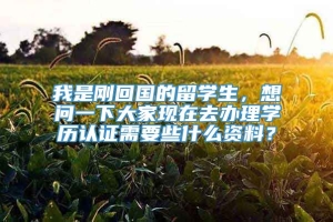 我是刚回国的留学生，想问一下大家现在去办理学历认证需要些什么资料？