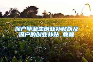 深户毕业生创业补贴以及深户的创业补贴 教程