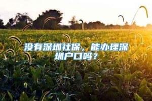 没有深圳社保，能办理深圳户口吗？