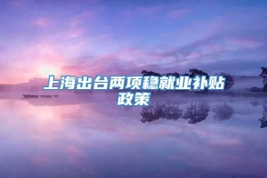 上海出台两项稳就业补贴政策