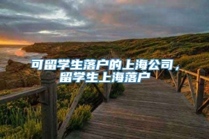 可留学生落户的上海公司，留学生上海落户