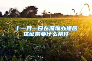 十一月一日在深圳办理居住证需要什么条件