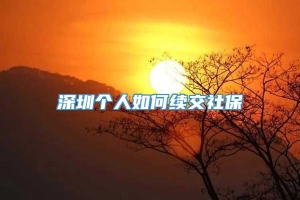 深圳个人如何续交社保