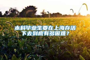 本科毕业生要在上海存活下去到底有多困难？