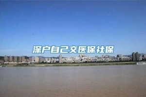 深户自己交医保社保