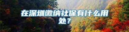 在深圳缴纳社保有什么用处？