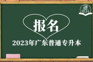 成人高考本科可以入户深圳吗？