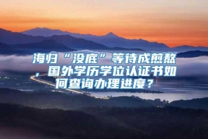 海归“没底”等待成煎熬，国外学历学位认证书如何查询办理进度？