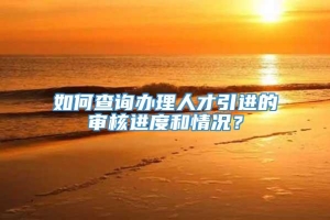 如何查询办理人才引进的审核进度和情况？