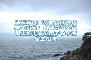 浦东新区国资国企成为招聘主力军！大部分国企已拿出近半岗位用于今年应届生招聘