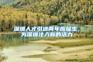 深圳人才引进两年应届生，为深圳注入新的活力