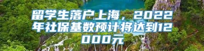 留学生落户上海，2022年社保基数预计将达到12000元